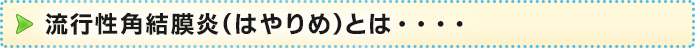 流行性角結膜炎（はやりめ）とは