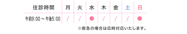 往診時間 午後1:00〜3:00　水、日　　救急の場合は応時対応いたします。